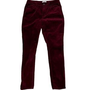 EV1 Velvet Velour Preston High Rise Skinny Maroon Pants Sz8 Whimsy Goth Dark Emo